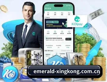 星空官网 APP 深度功能