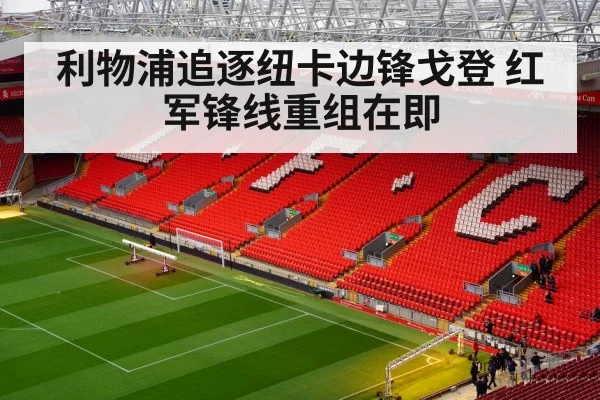 利物浦追逐纽卡边锋戈登 红军锋线重组在即